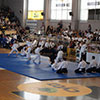 Martial Arts Demonstration